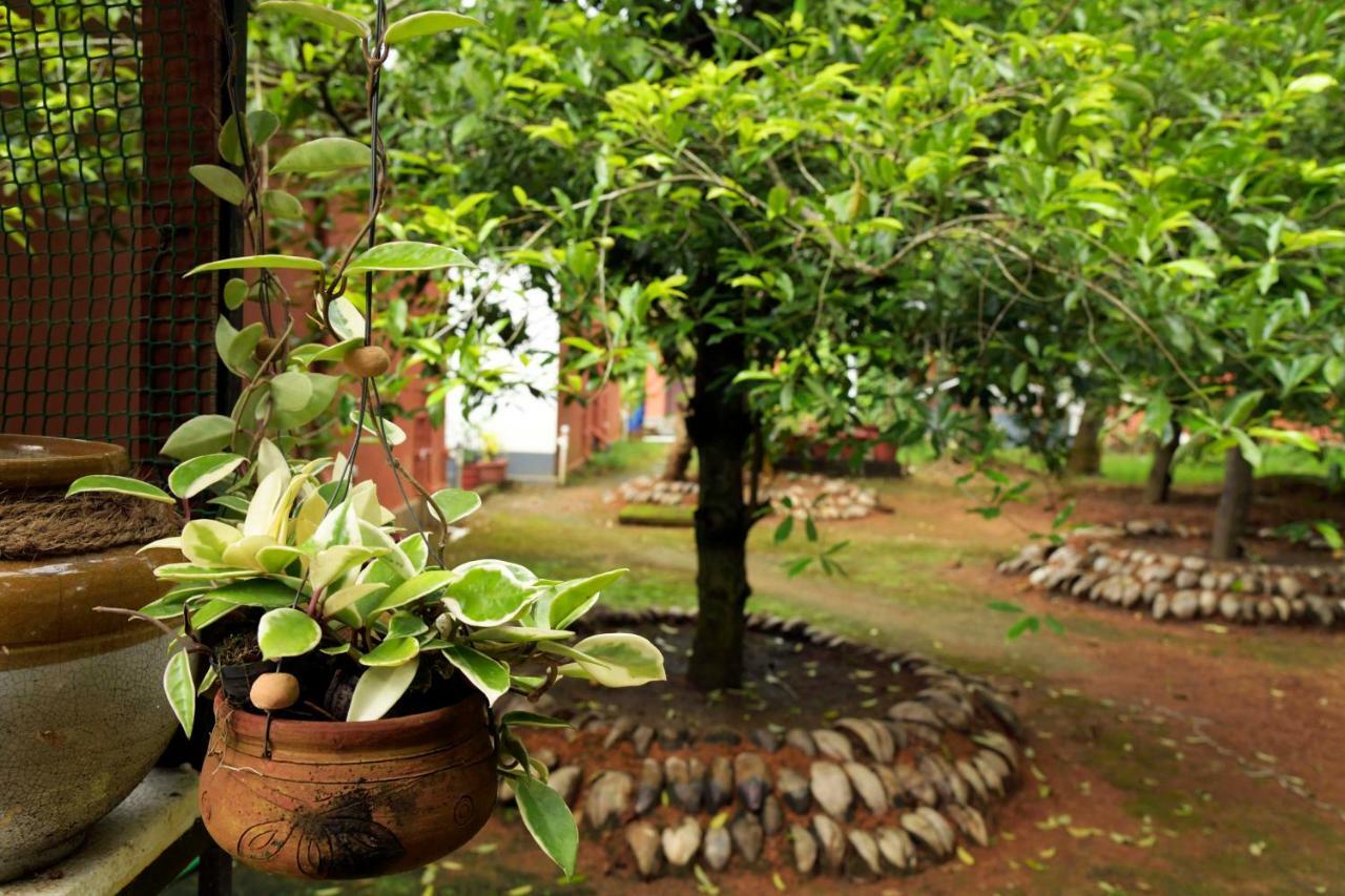 Stayvista At La Riva Heritage Villa With Bicycle Alappuzha Exterior foto